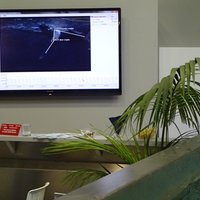 Live display of Aktisys underwater analysis
