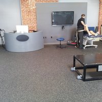 View on the feedback monitor for force vector feedback